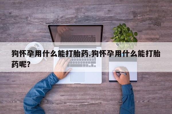 堕胎药怎么买狗怀孕用什么能打胎药.狗怀孕用什么能打胎药呢？