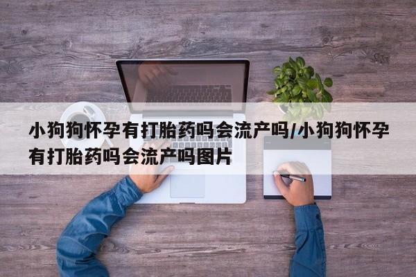 堕胎药怎么买小狗狗怀孕有打胎药吗会流产吗/小狗狗怀孕有打胎药吗会流产吗图片