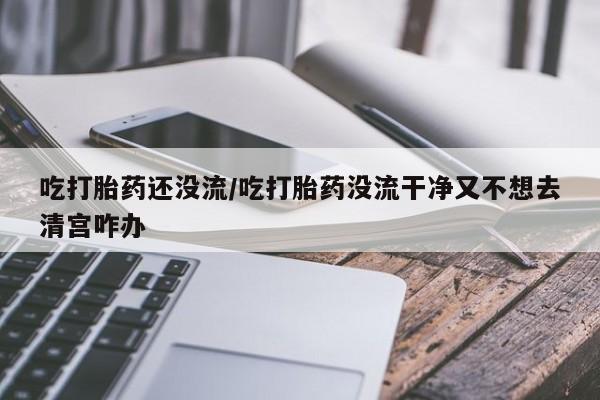 堕胎药怎么买吃打胎药还没流/吃打胎药没流干净又不想去清宫咋办