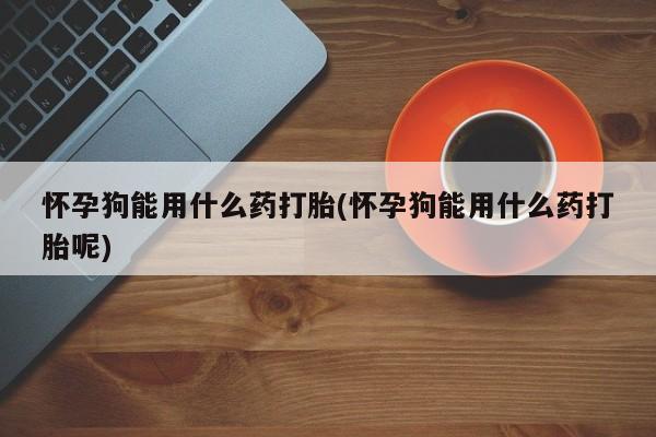 堕胎药怎么买怀孕狗能用什么药打胎(怀孕狗能用什么药打胎呢)